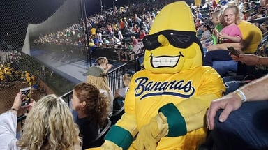 Savannah Bananas Logo