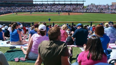 Spring Training Logo