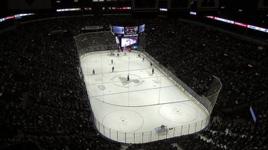 St. Louis Blues Logo