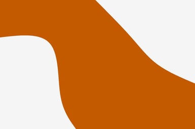 Texas Longhorns Logo