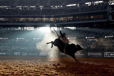 The American Rodeo Logo