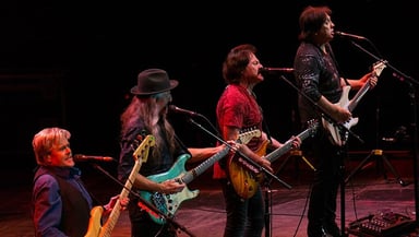 The Doobie Brothers Logo