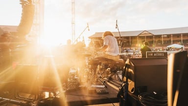 The Red Clay Strays Logo