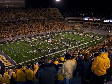 Mountaineer Field at Milan Puskar Stadium Logo