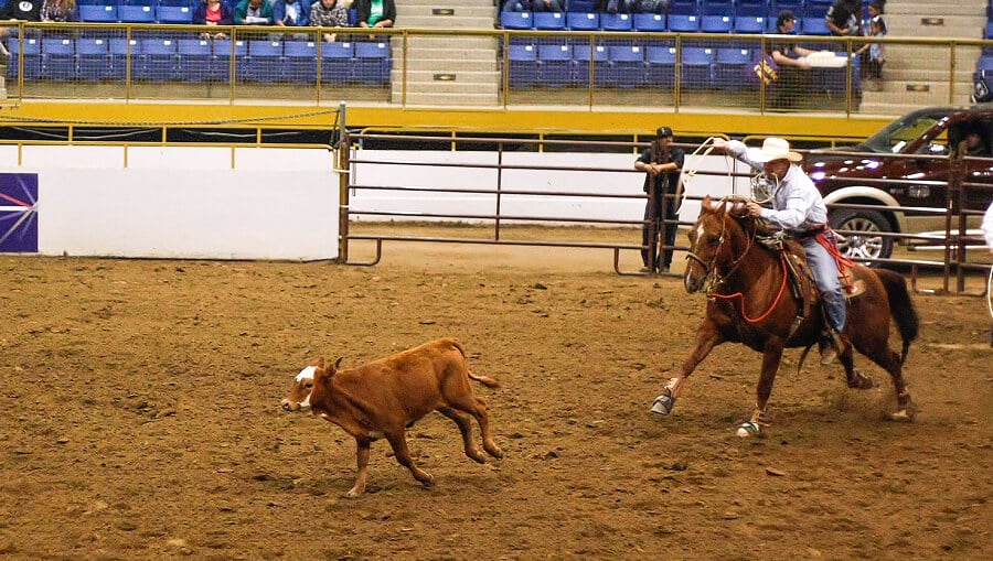 Reno Rodeo