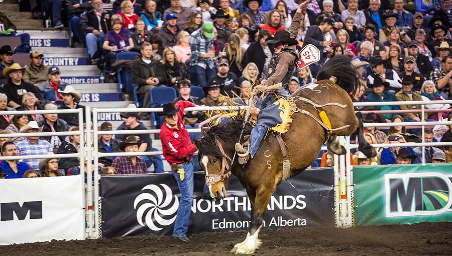 Calgary Stampede Rodeo