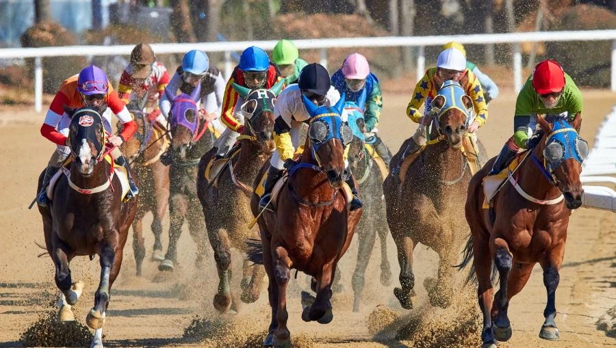 Belmont Stakes Racing Festival