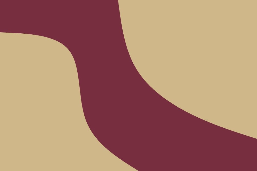 Florida State Seminoles