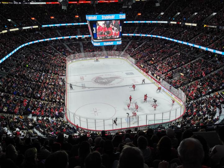 Ottawa Senators