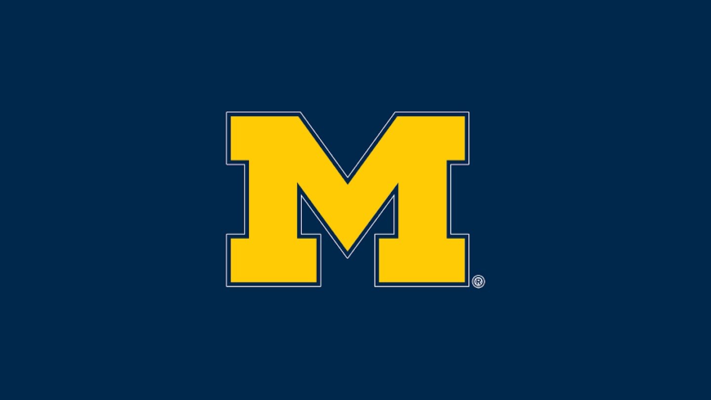 Michigan Wolverines Hockey