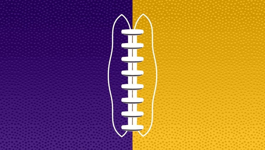 Minnesota Vikings