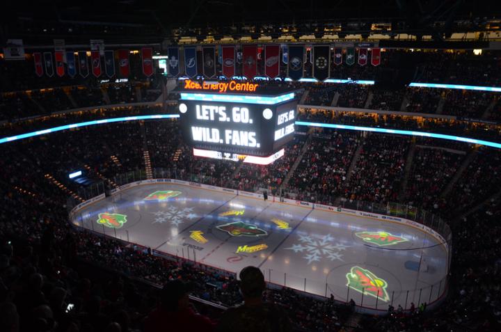 Minnesota Wild