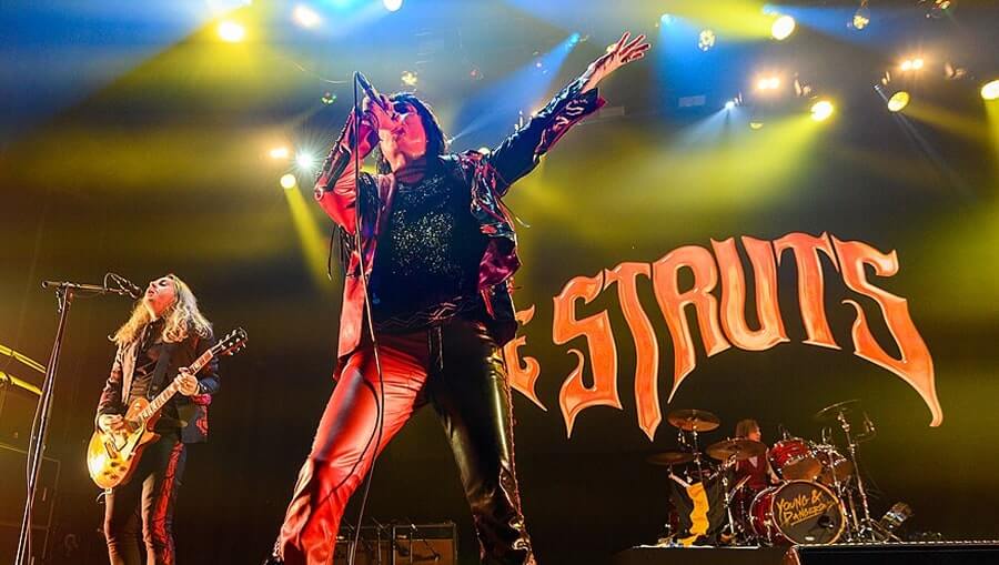 The Struts