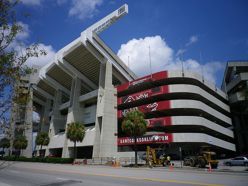 Williams-Brice Stadium Logo