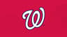 Washington Nationals icon