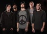 Like Moths To Flames image