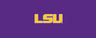 LSU Tigers Basketball