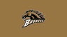 Western Michigan Broncos image