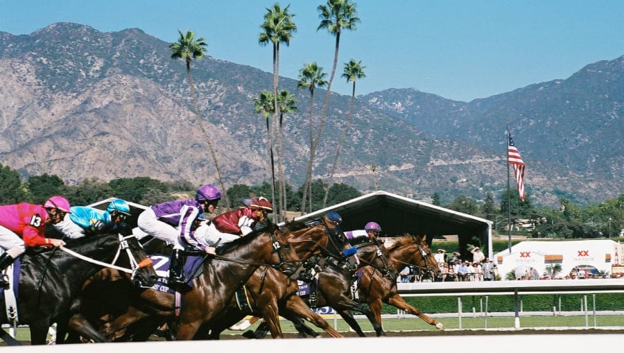 Breeders Cup 2 Day Pass Tickets in Del Mar [10/31/25] TickPick