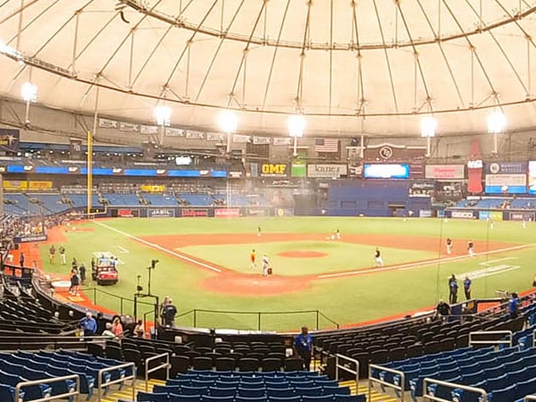Tropicana Field Seating Chart View